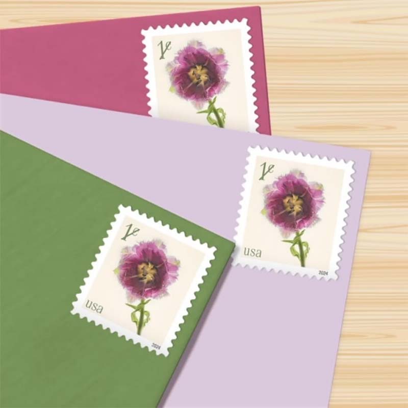 fringed tulip stamp with detailed floral design