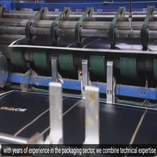 Usine d'emballage à grande vitesse